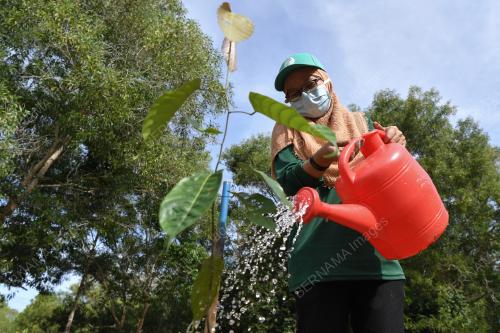 100 JUTA POKOK