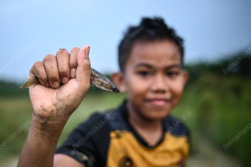 AKTIVITI RIADAH HUJUNG MINGGU