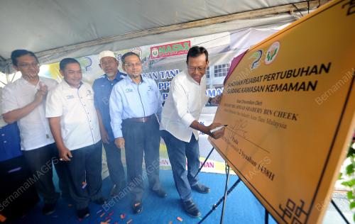 TR01_29042017_SHABERY_PELADANG