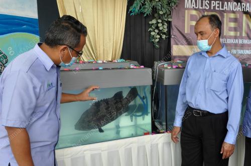DR ZAINODDIN JAMARI