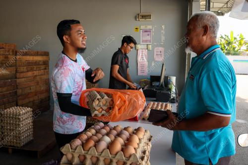 TELUR AYAM