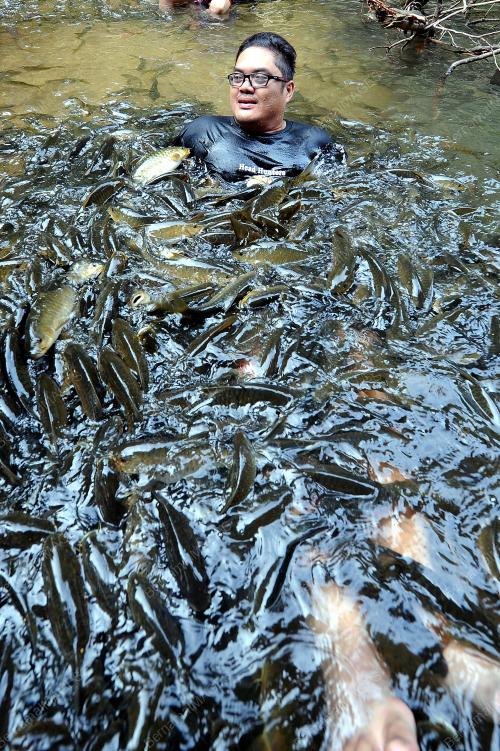 TR02_01042017_IKAN_KELAH
