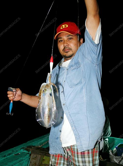 SOTONG