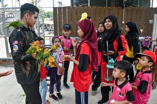 ZOO RIMBA RAZIA
