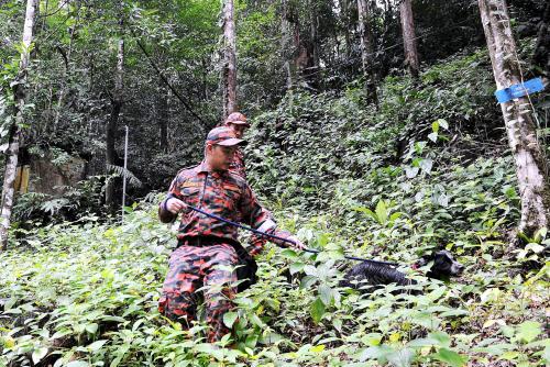 TR02_02112014_PELAJAR