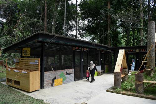 TAMAN KUCING DUNGUN