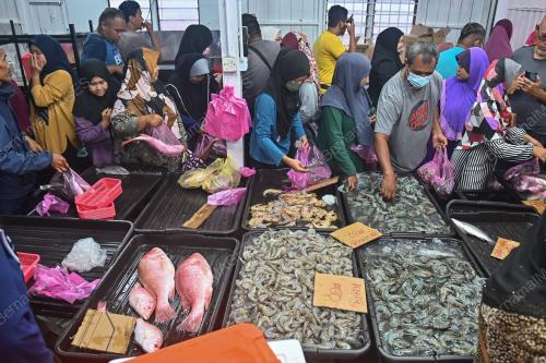 JUALAN MURAH IKAN SIAKAP
