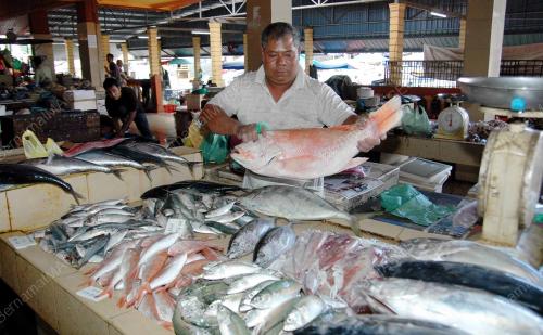 PASAR IKAN