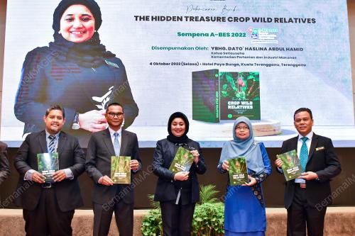 DATUK HASLINA ABDUL HAMID