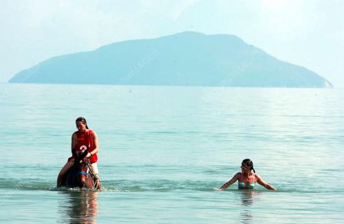 KEJOHANAN KUDA LASAK SEDUNIA 2008