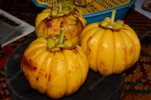 BUAH GELUGUR