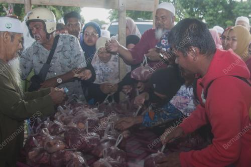 DAGING MURAH