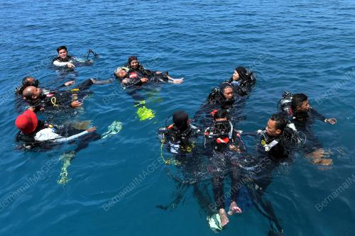TR02_05112018_DIVE_HEART_BN201810080231