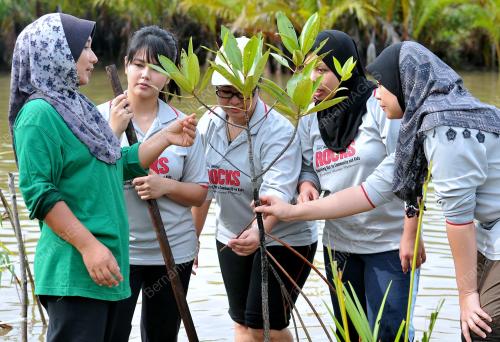 TR02_06072012_NESTLE_NIPAH