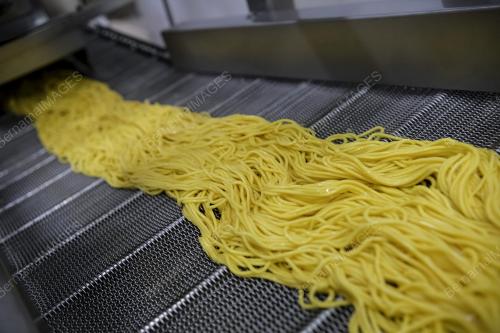 MUSLIM FOOD INDUSTRIES