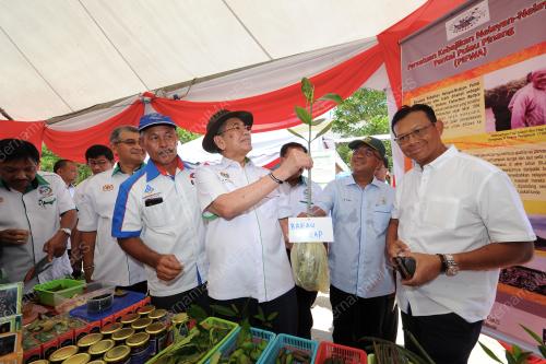 TR02_07092017_HARI_HUTAN_BN201709064842