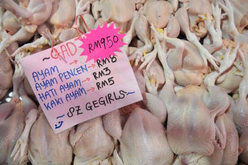 HARGA AYAM MENINGKAT