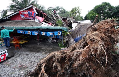 POKOK TUMBANG