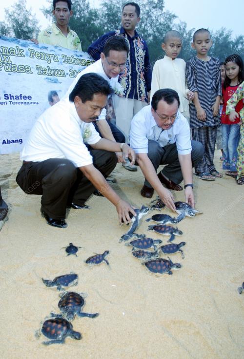 MOHD JIDIN SHAFEE