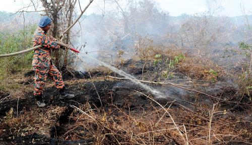 TR02_08032015_HUTAN_TERBAKAR