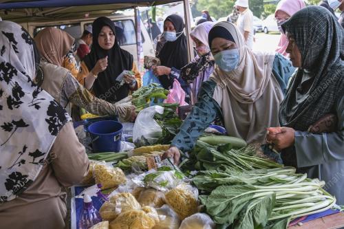 JUALAN TERUS DARI LADANG KELUARGA MALAYSIA