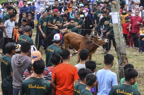 IBADAH KORBAN