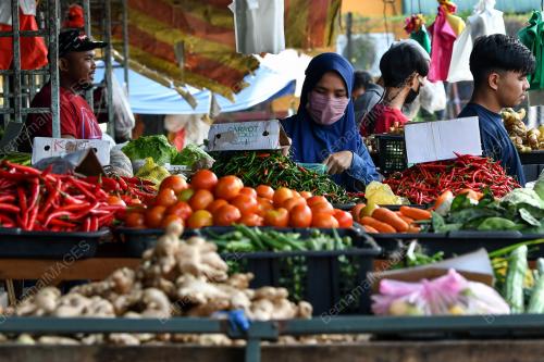 TINJAUAN_SAYUR