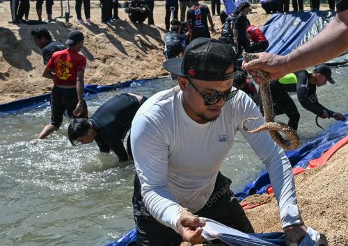 TEMASYA TRANUNG KITE 2024