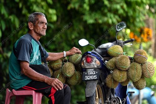 DURIAN KAMPUNG TERENGGANU