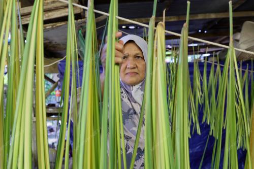 KETUPAT PALAS