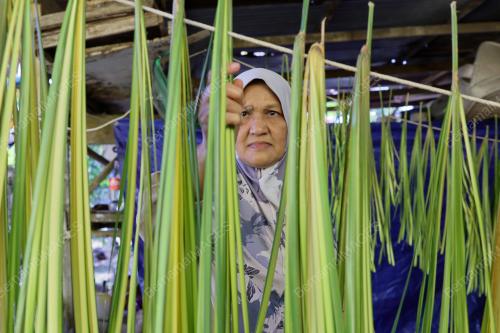 KETUPAT PALAS