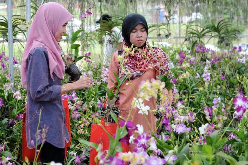 TR02_12042015_BUNGA_KETENGAH
