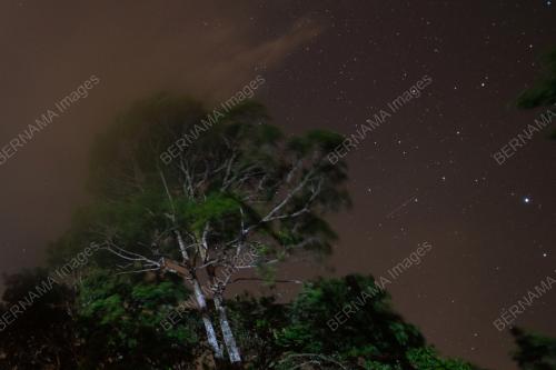TR02_13082021_METEOR_PERSEIDS