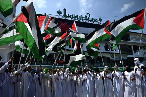 SOLIDARITI PALESTIN