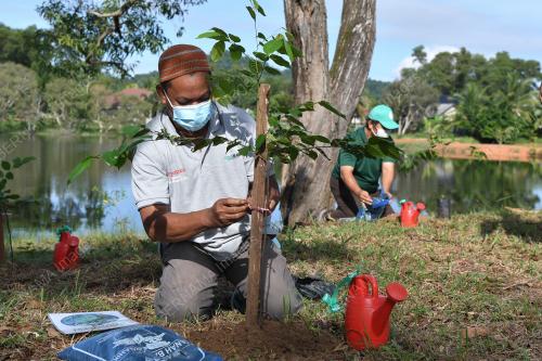 KEMPEN 100 JUTA POKOK
