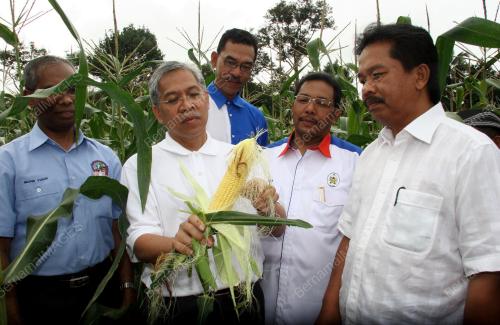 IDRIS JUSOH