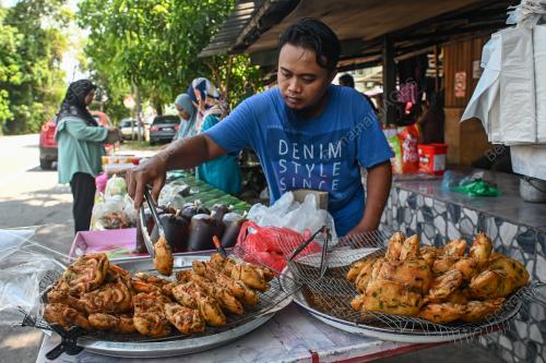 JEPUT UDANG STAMBUNG