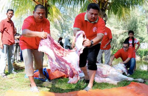 TR02_15102013_SEMBELIH_QURBAN