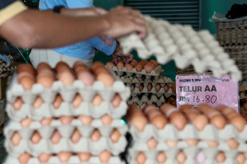 TELUR AYAM