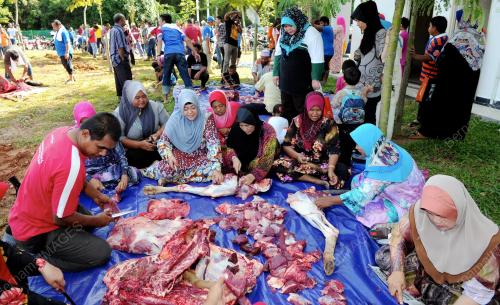 TR02_16102013_KORBAN_PERDANA