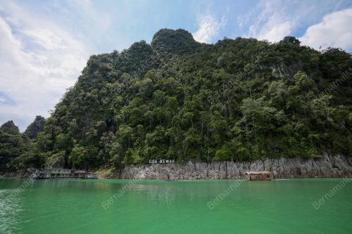 TAMAN NEGARA TERENGGANU