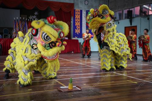 TARIAN SINGA