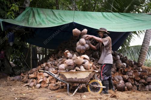 SABUT KEPALA JADI SUMBER REZEKI