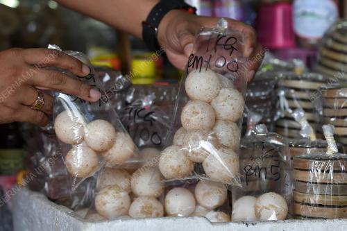 TELUR_PENYU