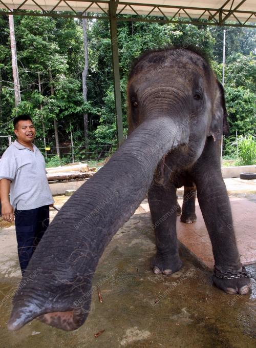 SANTUARI GAJAH