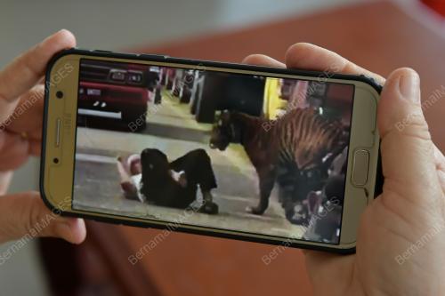 TR02_19072019_HARIMAU_BN201808055000