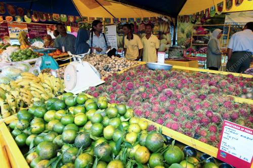 GERAI BUAH-BUAHAN SEGAR