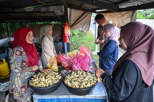 KETUPAT PALAS