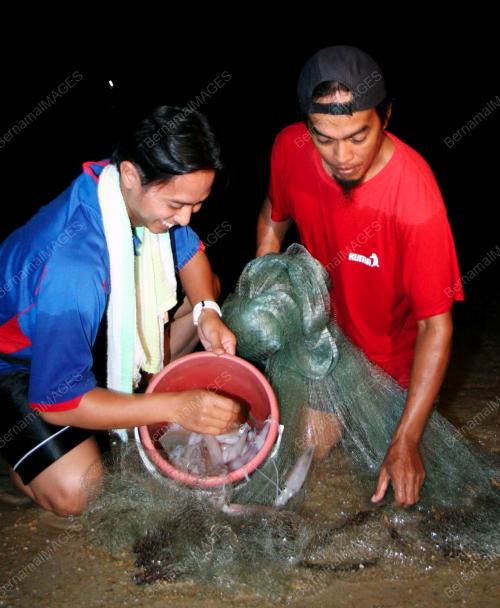 MENJALA SOTONG