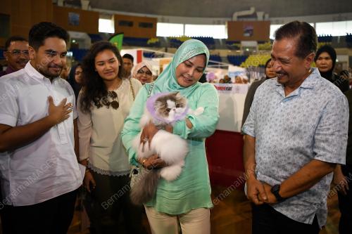 TR02_20072019_KUCING_BN201907175469